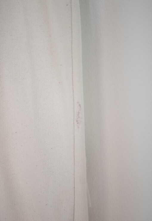 garment image