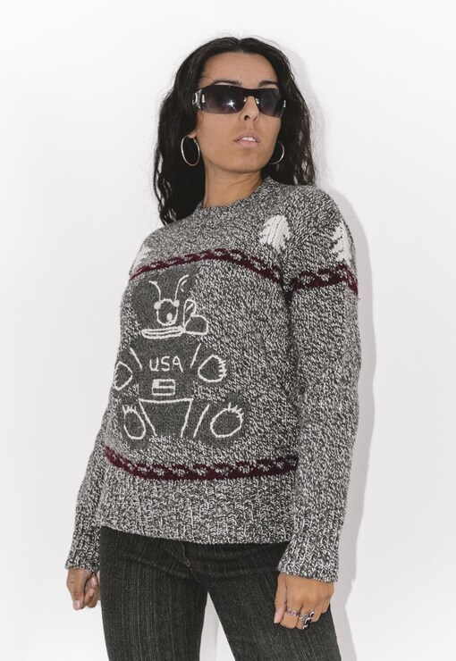 garment image