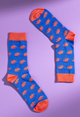 Blue and orange dinosaur pattern Egyptian cotton men's sock