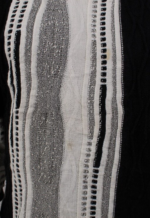 garment image