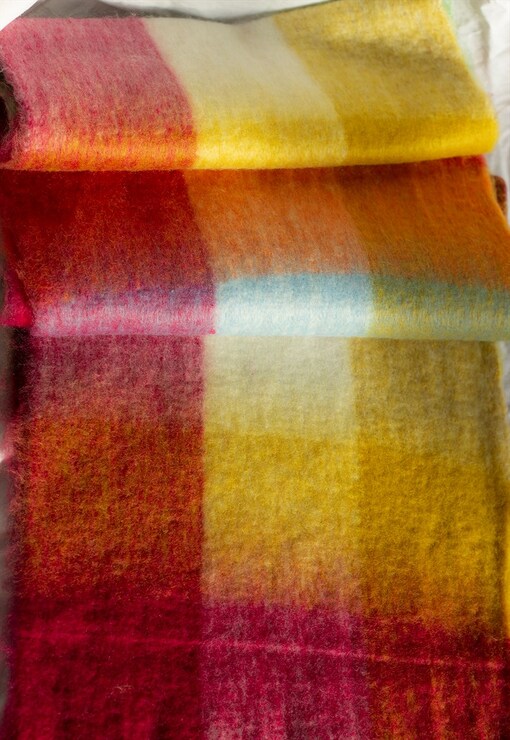 garment image