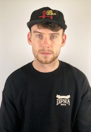 THE REAL WORLD MTV VINTAGE 90S CAP