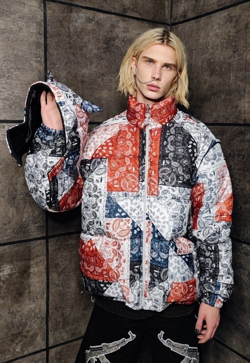 garment image