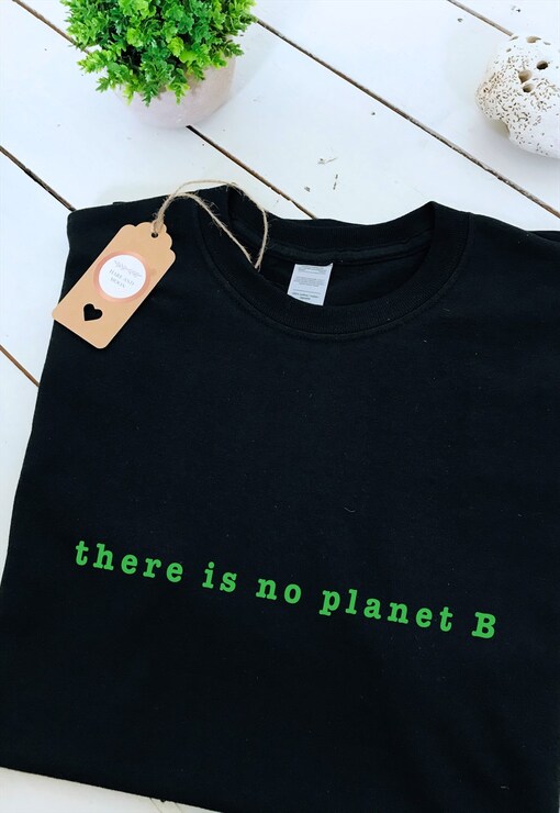 garment image