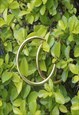 GOLD LARGE BASIC SEMI-OPEN HOOP EARRINGS