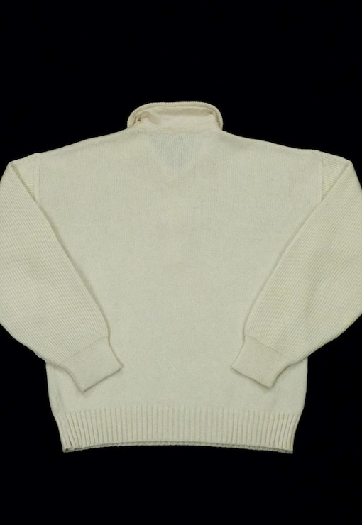 garment image