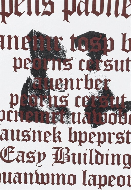 garment image