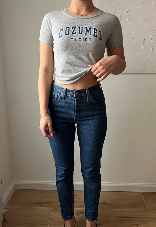 garment image