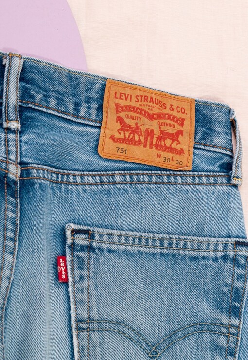 garment image