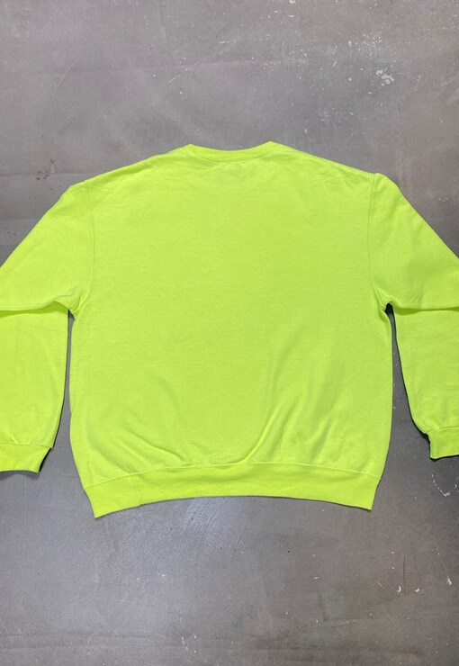 garment image