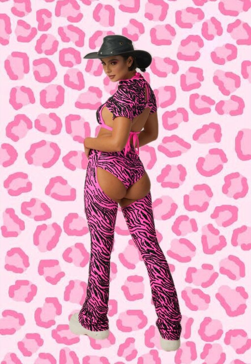 garment image