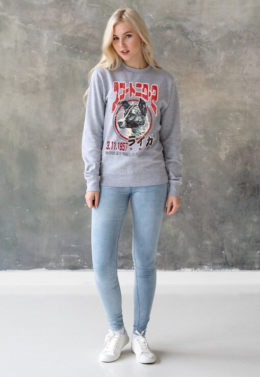 garment image