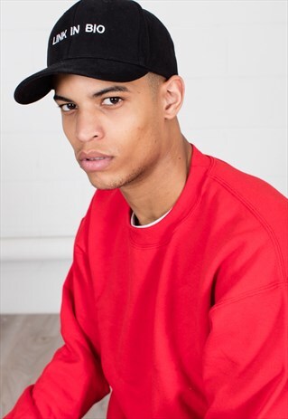 LINK IN BIO FUNNY LOGO BASEBALL CAP