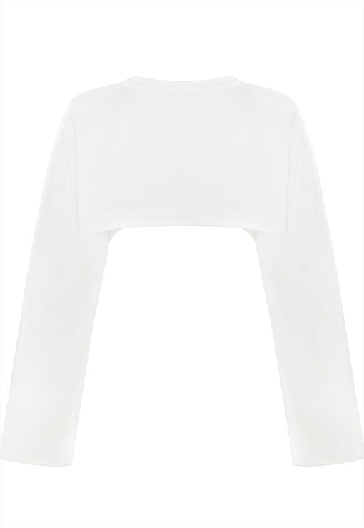 garment image