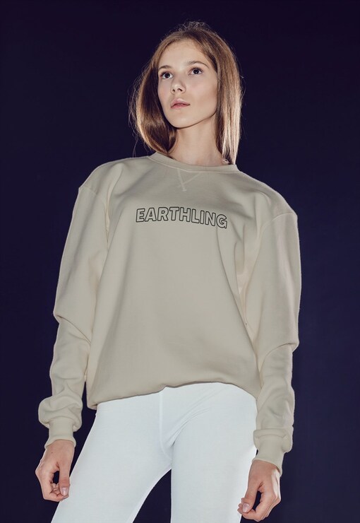 garment image