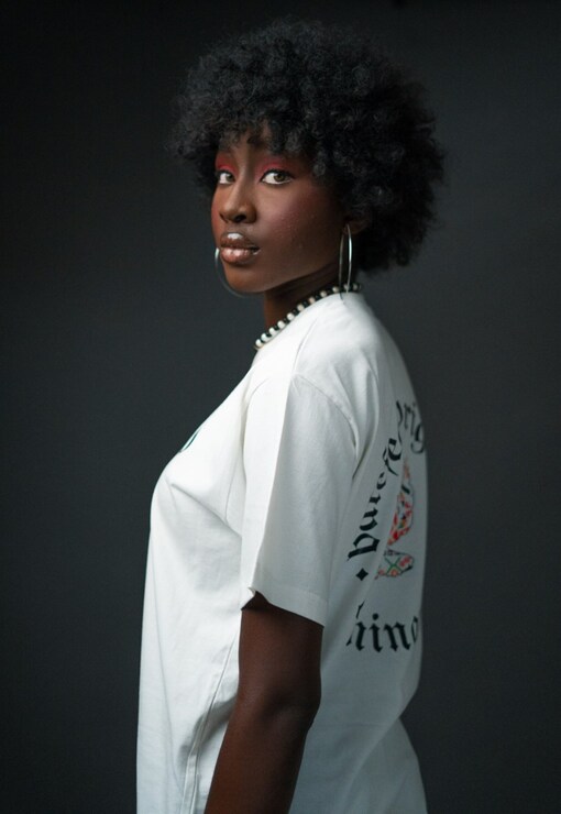 garment image