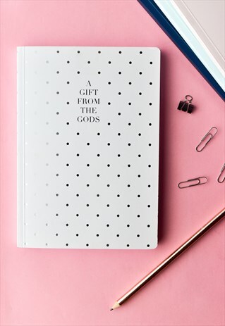 A GIFT FROM THE GODS A5 DAILY PLANNER NOTEBOOK WHITE SILVER