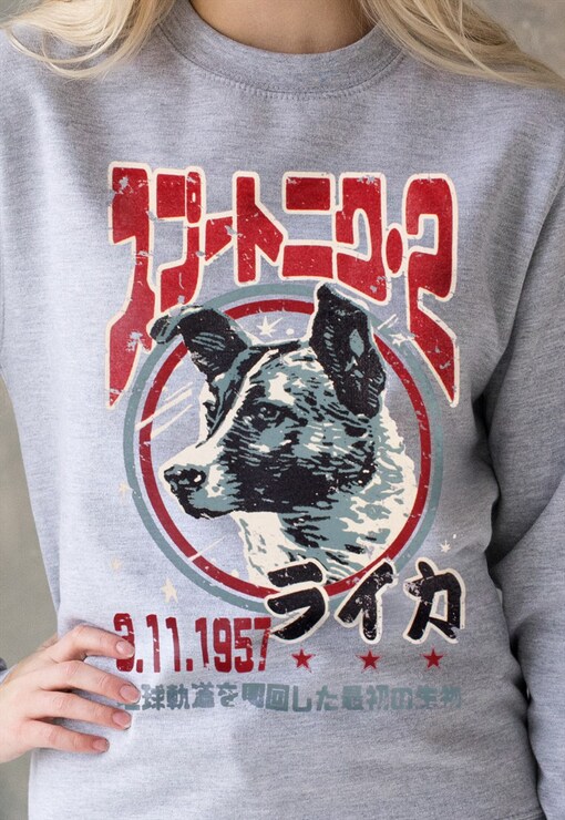 garment image