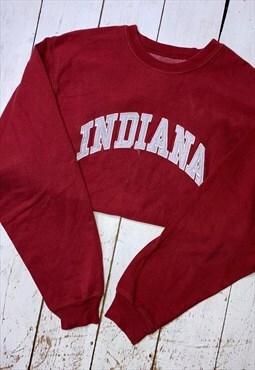 vintage embroidered american college indiana state jumper