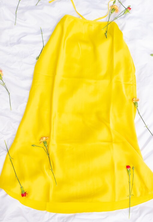 garment image