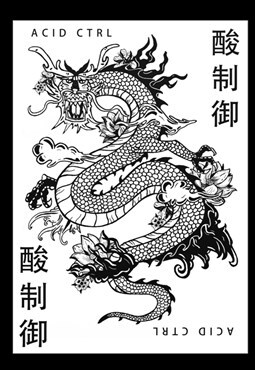 Lotus Dragon A4 Print