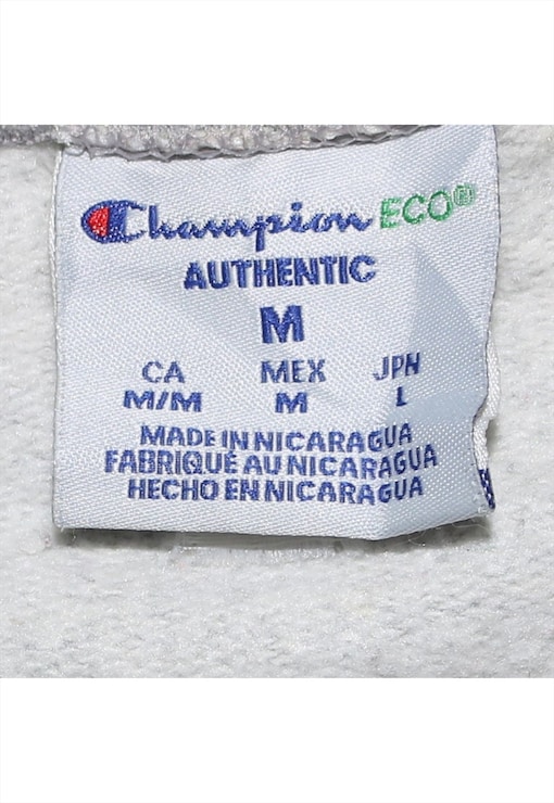 garment image