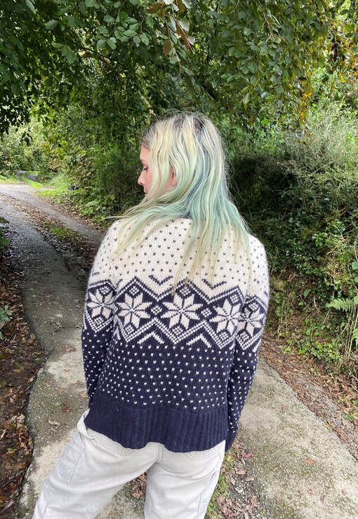 garment image
