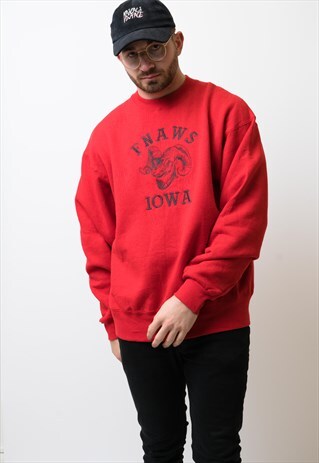VINTAGE IOWA USA SWEATSHIRT