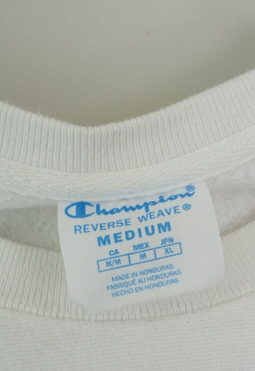 garment image
