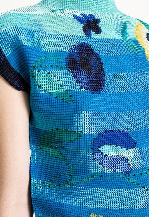 garment image