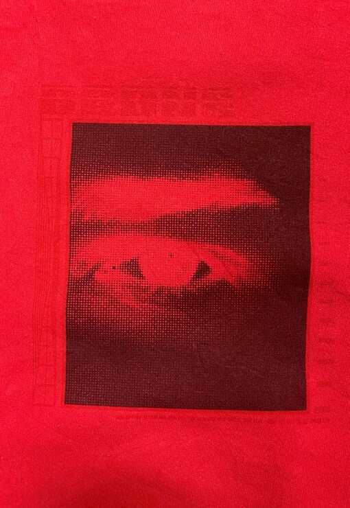 garment image