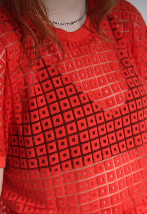 garment image