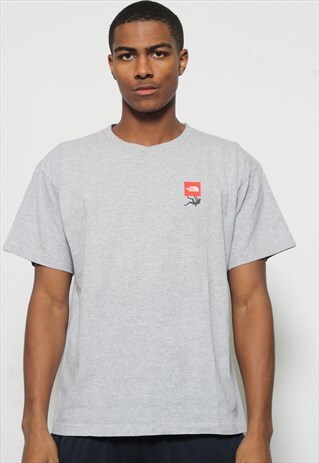 VINTAGE NORTH FACE T-SHIRT GREY