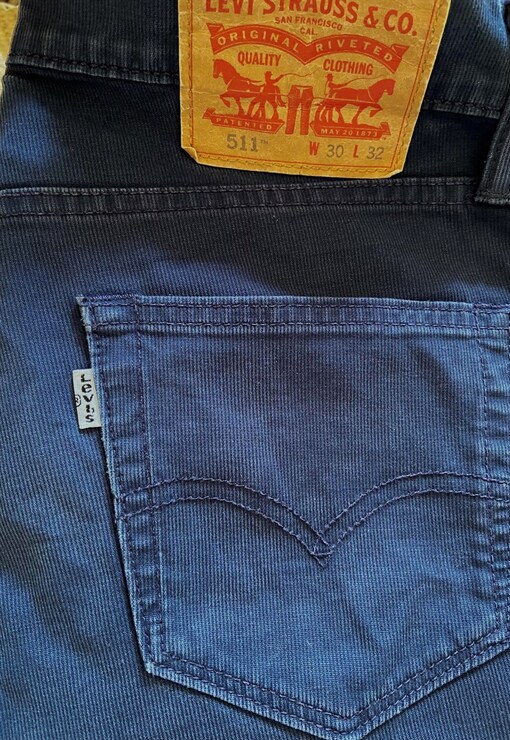 garment image