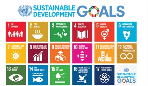 Sustainable development goals