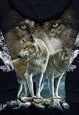 WILD WOLFS BLACK HOODIE S/M