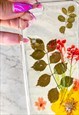 PRESSED FLOWERS AND LEAVES CLEAR COVER/ IPHONE 6 AND 6S PLUS