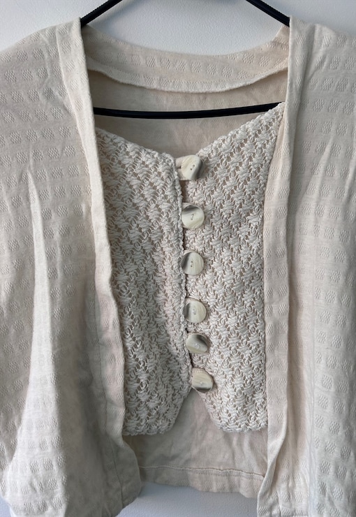 garment image