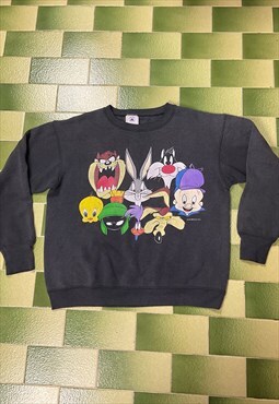 Vintage 1993 Warner Bros Cartoons Character Sweatshirt