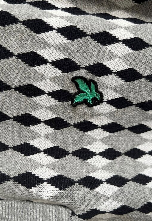 garment image