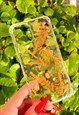 REAL FERN AND BLOSSOMS PHONE CASE/ IPHONE 11 PRO COVER