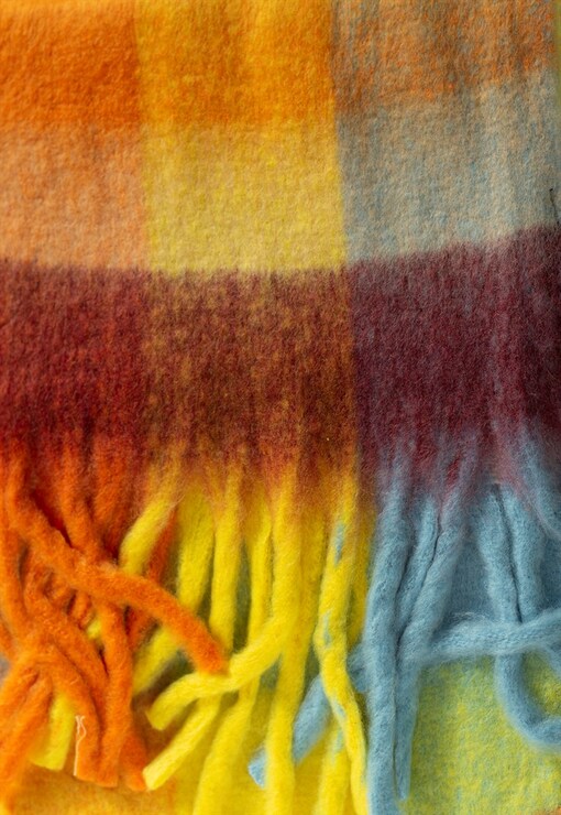 garment image