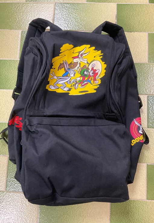 garment image