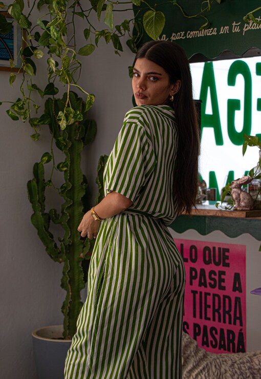 garment image