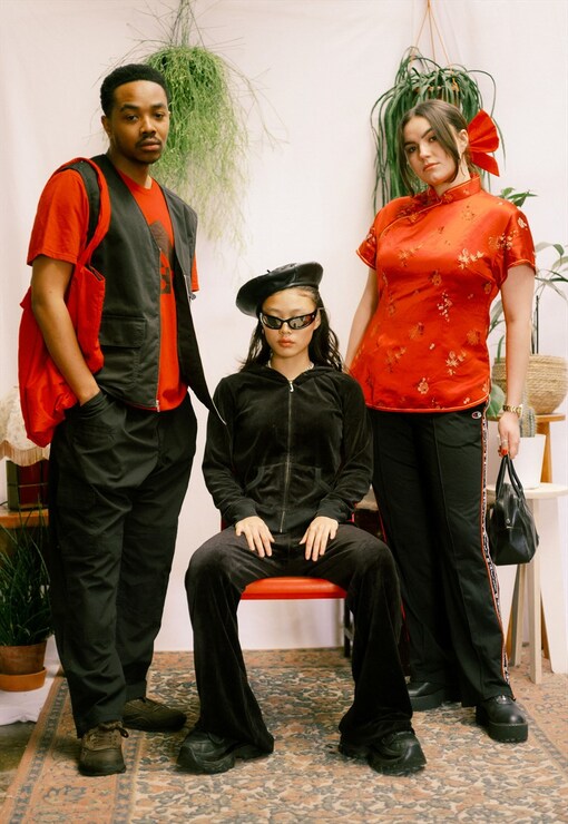 garment image