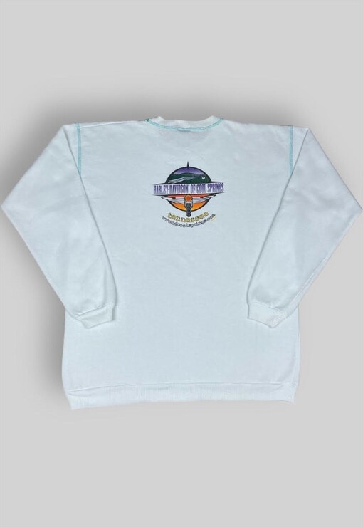 garment image