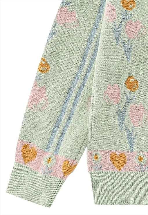 garment image