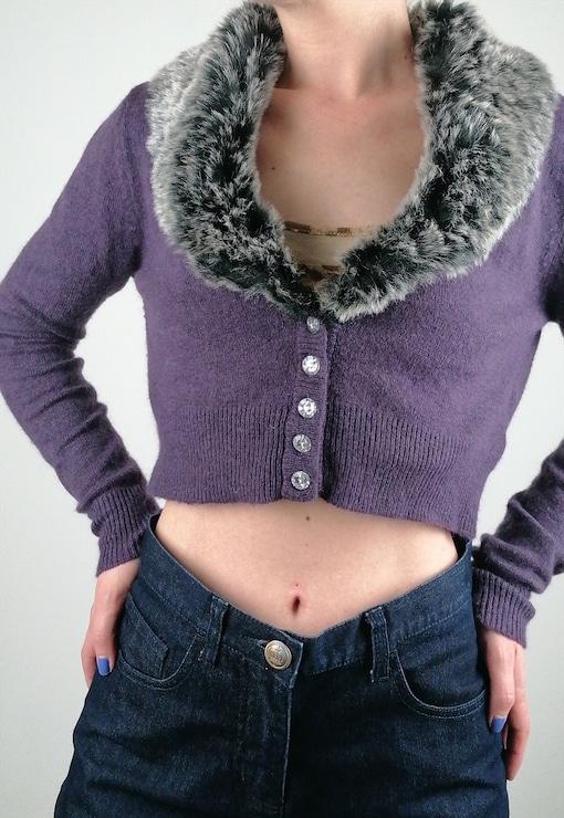 garment image