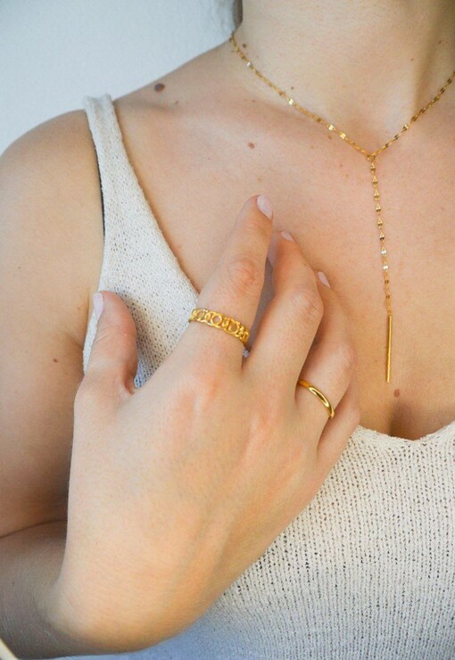 garment image