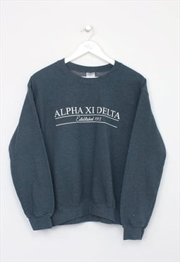 Vintage Gildan Apha XI Delta sweatshirt in grey. Best fits S